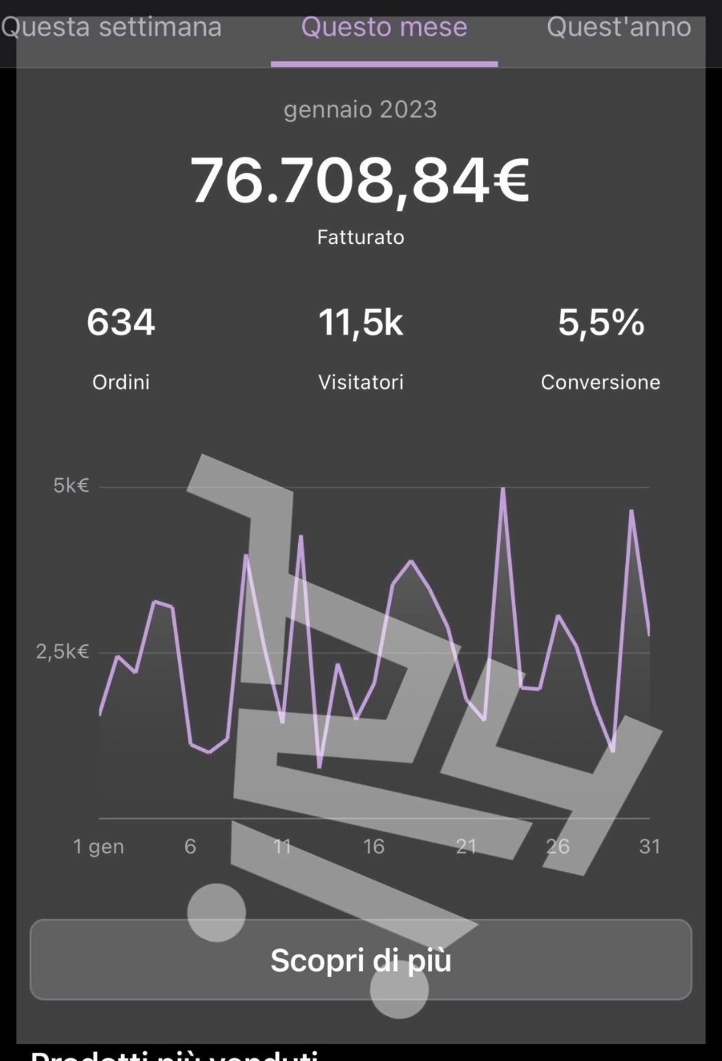 Risultati Ecommerce (1)