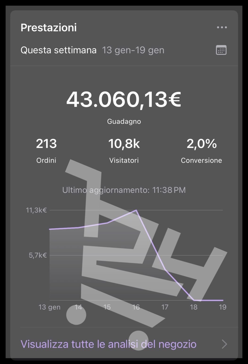 Risultati Ecommerce (11)