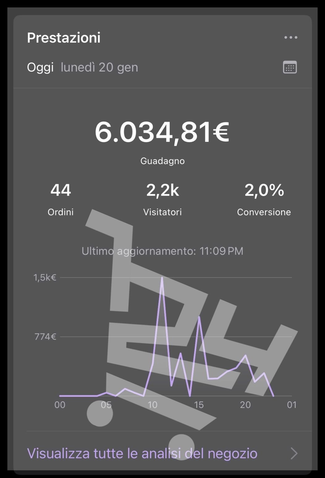 Risultati Ecommerce (14)