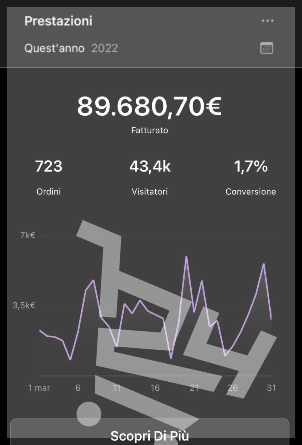 Risultati Ecommerce (8)